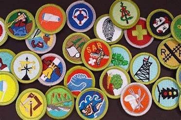 Merit Badge